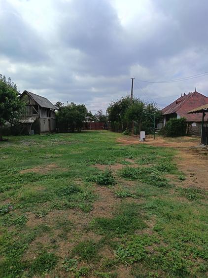 Casă cu 4 camere în Radu Negru