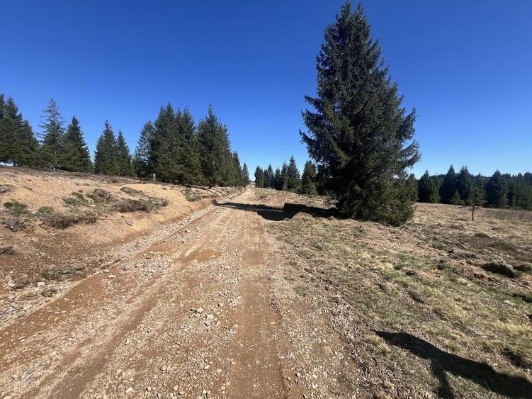 Teren de 1000 mp, în Beliș