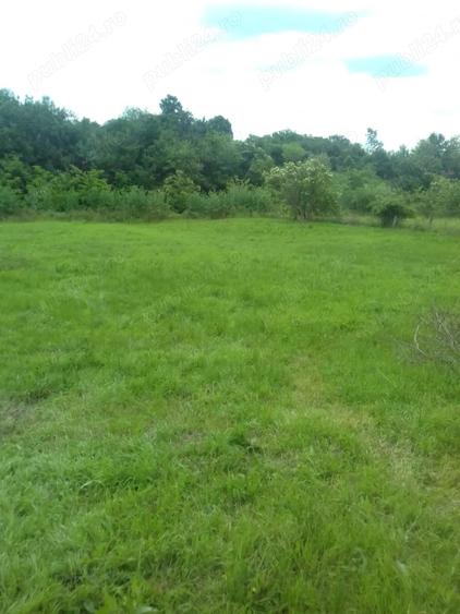 Teren de 2473 mp, în Bălteni