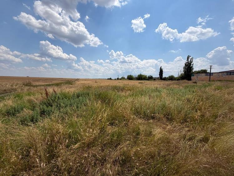 Teren Construcții intravilan de 9976 mp, în Bucovăț