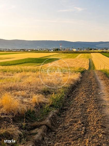 Teren intravilan de vanzare in Alparea, Bihor