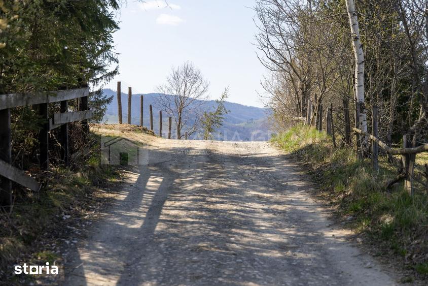 Teren de 3791 mp, în Moieciu