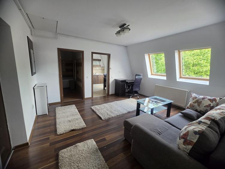 Apartament cu 2 camere în Griviței