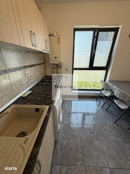 Apartament 2 camere de inchiriat Ranetti Residence | Grozavesti - 11