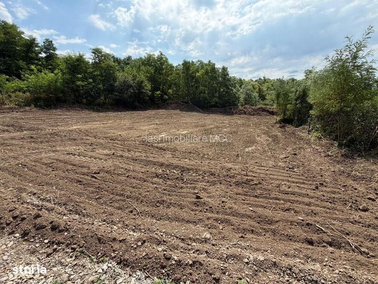 Vand Teren Intravilan Valea Lupului
