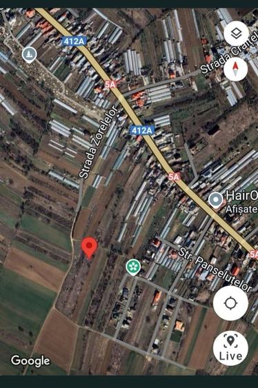 Teren de 1500 mp, în Adunații-Copăceni