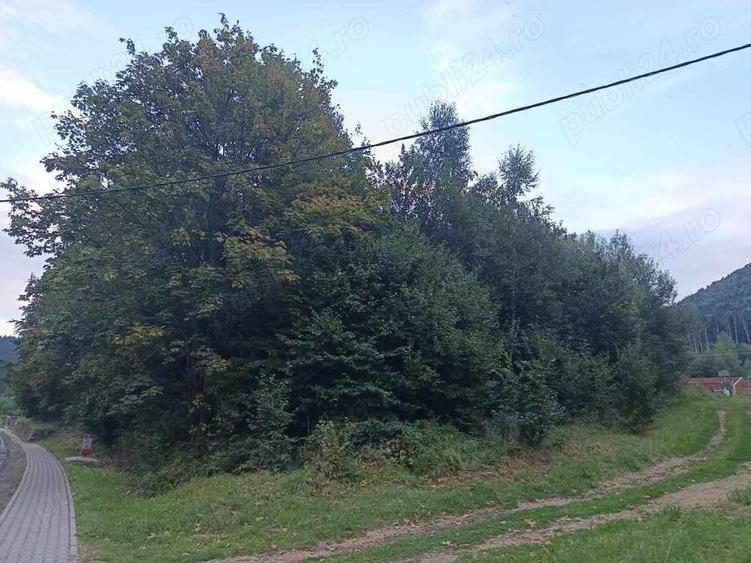 Teren de 1000 mp, în Băile Tușnad