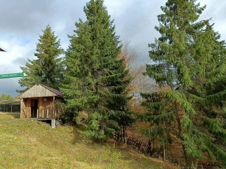 Casă cu 4 camere cu Teren 2100 Mp în Poiana Stampei