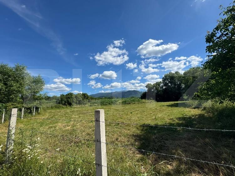 Teren Construcții intravilan de 2281 mp, în Sibișel (Râu de Mori)