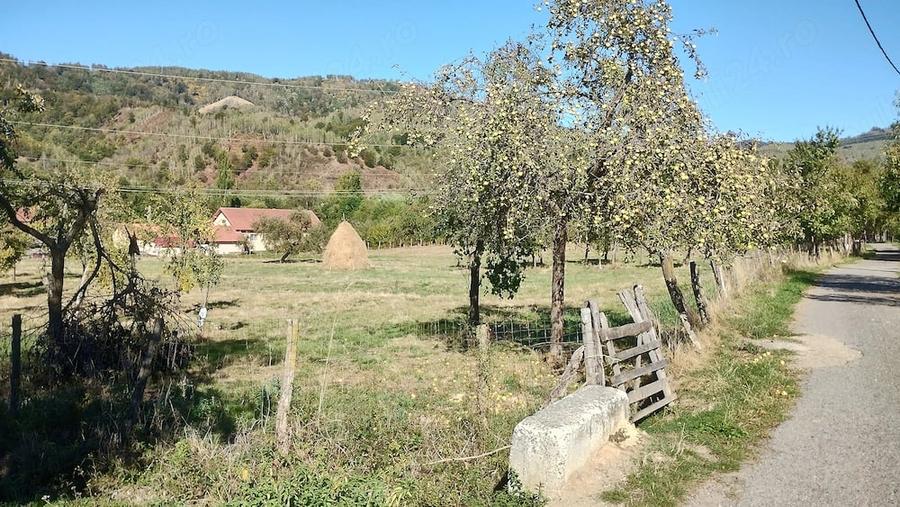 Teren de 9288 mp, în Bucova