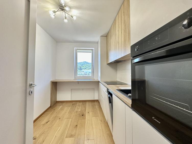 Apartament cu 3 camere decomandat de inchiriat, Urban Plaza - 4