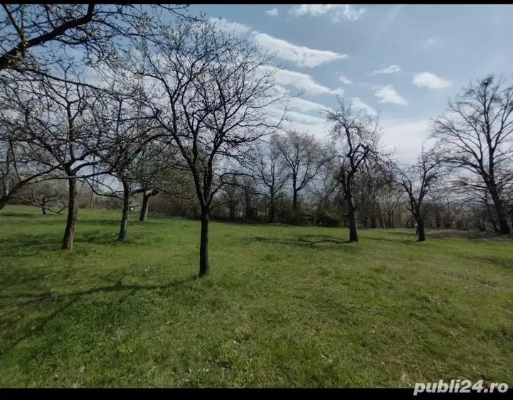 Teren de 6800 mp, în Șișești