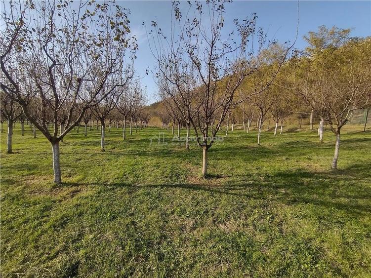 Teren de 1445 mp, în Slatina-Nera
