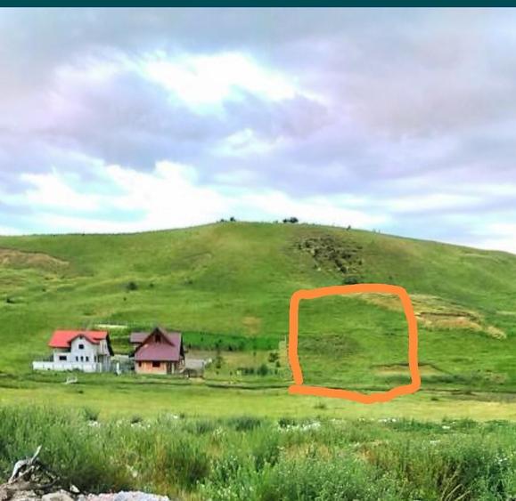 Teren de 1000 mp, în Ciritei