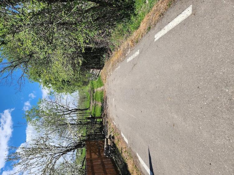 Teren de 16000 mp, în Nucșoara de Jos
