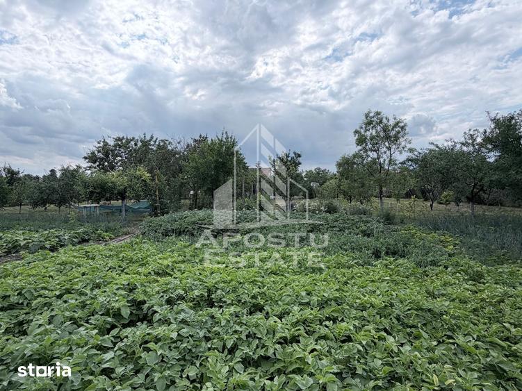 Casă cu 5 camere cu Teren 2890 Mp în Fratelia