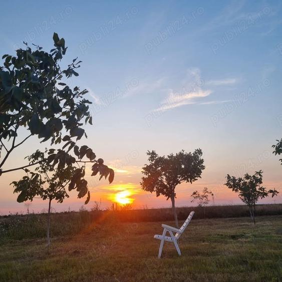 Teren de 10000 mp, în Livada