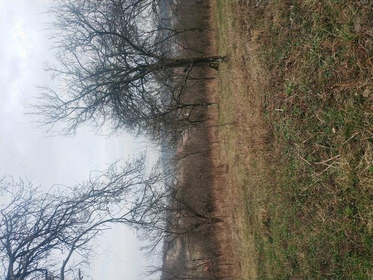 Teren de 2400 mp, în Crișeni