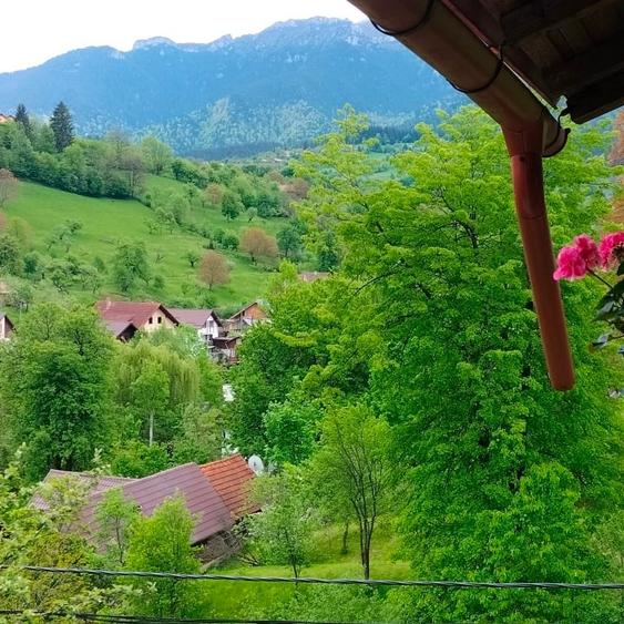 Duplex cu 5 camere cu Canalizare în Bran