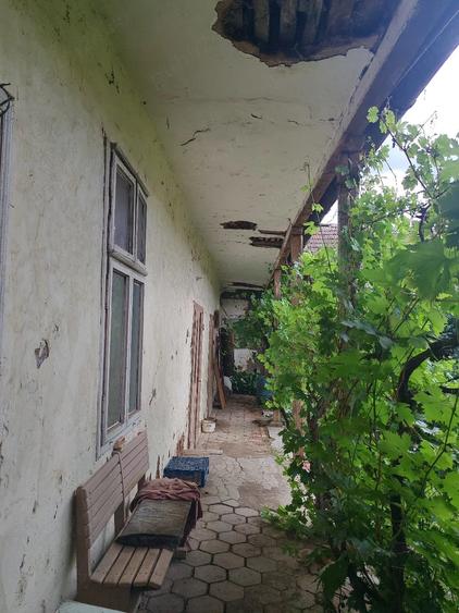 Casă cu Teren 3415 Mp în Pișchia