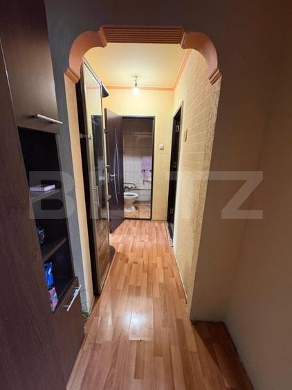 Apartament cu 3 camere decomandat, mobilat în Banat
