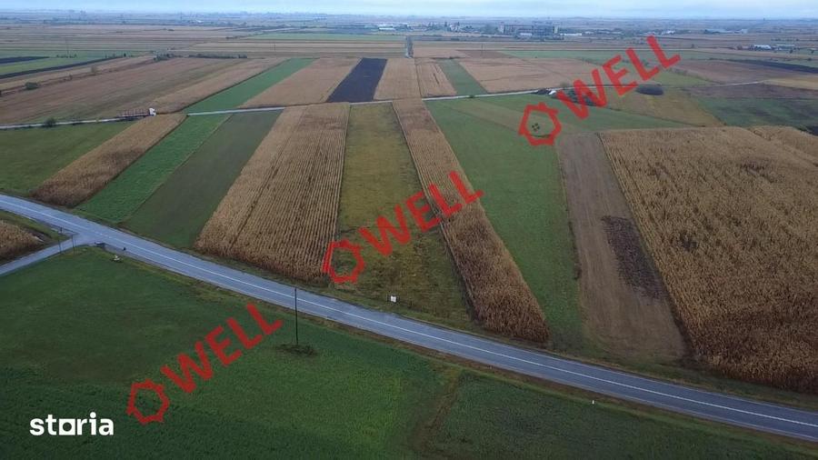 Teren extravilan de vanzare in Covasna! - 7