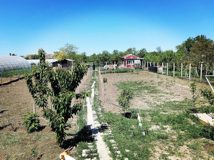 Casă cu Teren 1600 Mp în Central