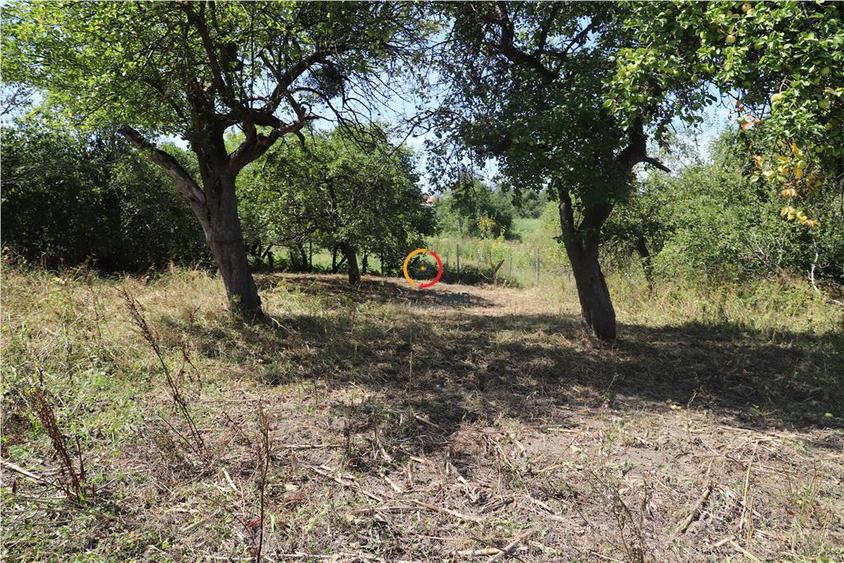 Casă individuală cu 3 camere cu Teren 2556 Mp în Bruiu