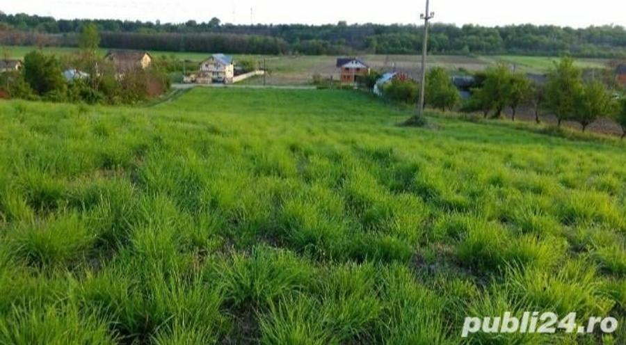 Teren în Albota