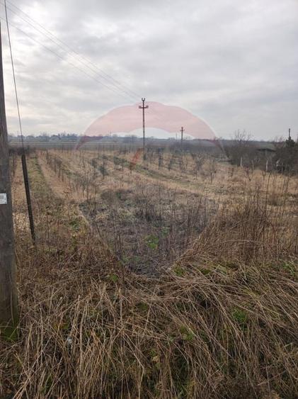 Teren Construcții intravilan de 2341 mp, în Uileacu de Munte