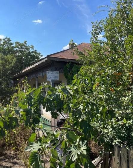 Casă cu 5 camere cu Teren 2000 Mp în Bărăganul