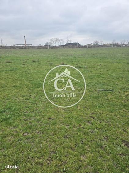 Teren extravilan 150.000 mp de vanzare in Tileagd, Bihor - 1