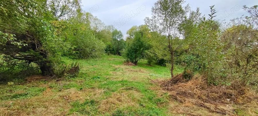 Teren de 5400 mp, în Bughea de Jos