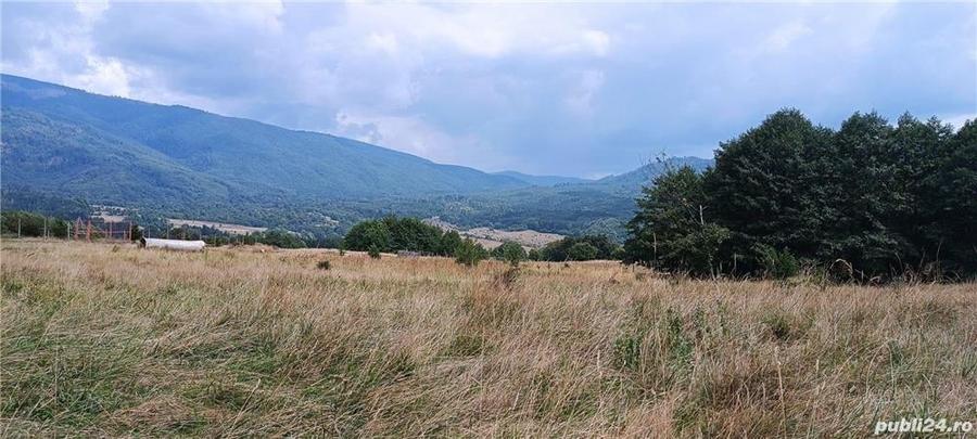 Teren de 5050 mp, în Nucșoara