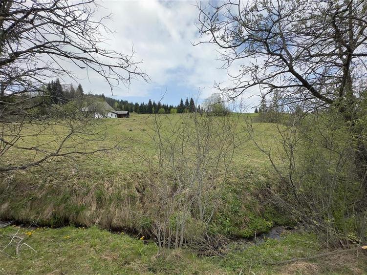 Teren Construcții intravilan de 6000 mp, în Șaru Dornei