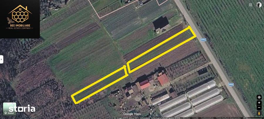 2 parcele teren intravilan, 1200 mp - Mihaita - Cotofenii din Dos - 4