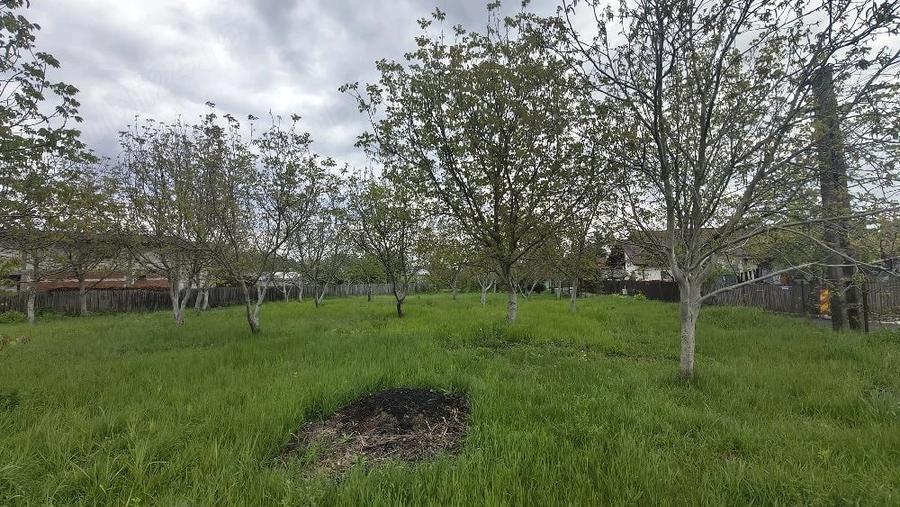 Teren de 1457 mp, în Dărmănești