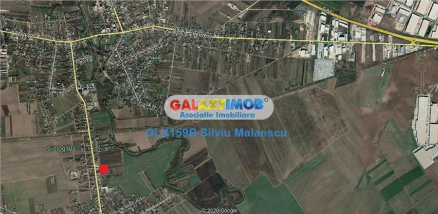 Teren de 2500 mp, în Ciorogârla