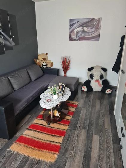 Apartament cu 2 camere semidecomandat în Mătăsari
