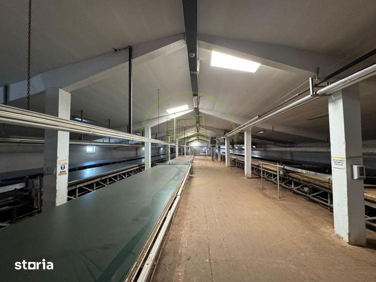 Spațiu comercial, de 4,000 mp, în Luna
