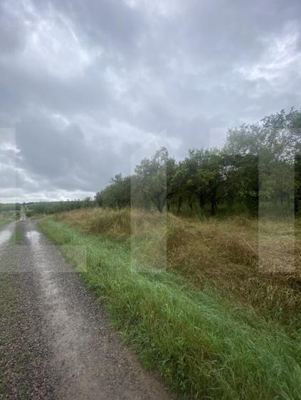 Teren agricol extravilan de 5150 mp, în Simeria