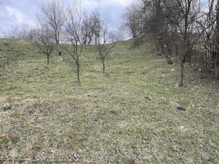 vand 2300m2 teren intravilant comuna secaria - 1