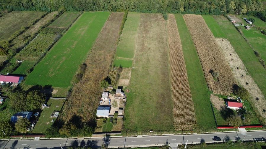 Teren de 4.4645700454712 mp, în Grajduri