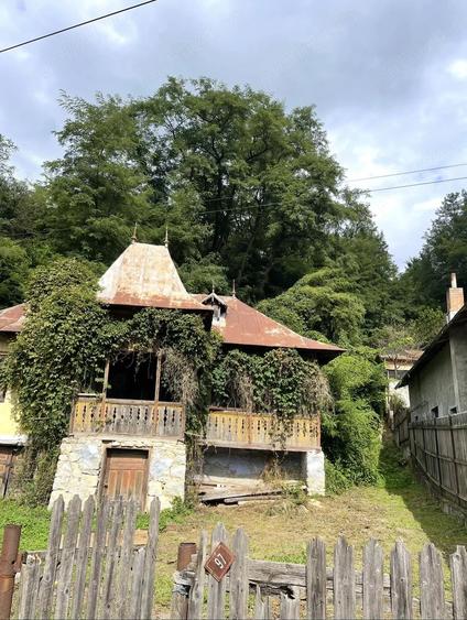 Teren Provita de Jos Prahova - 1