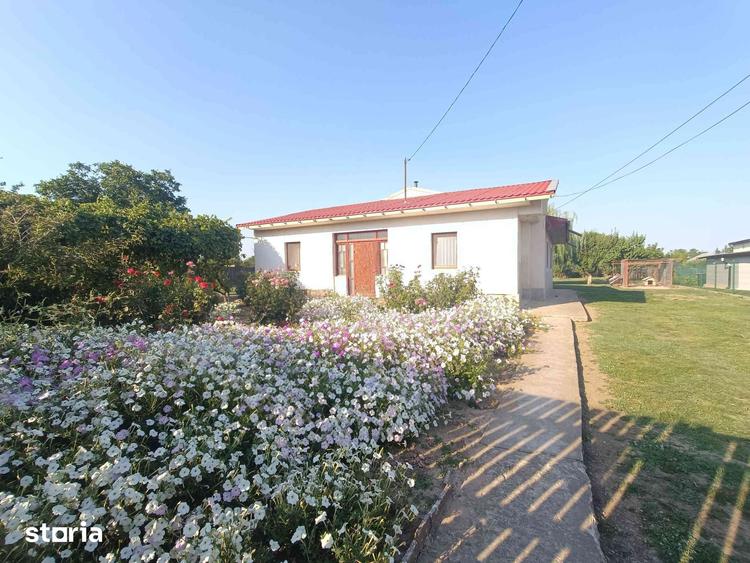 Casă cu 6 camere cu Teren 2771 Mp în Slobozia Nouă