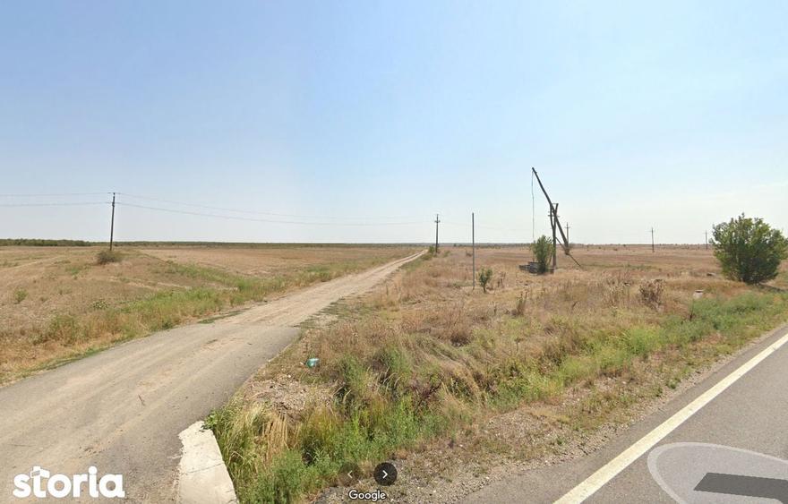 Teren de 20000 mp, în Vișina