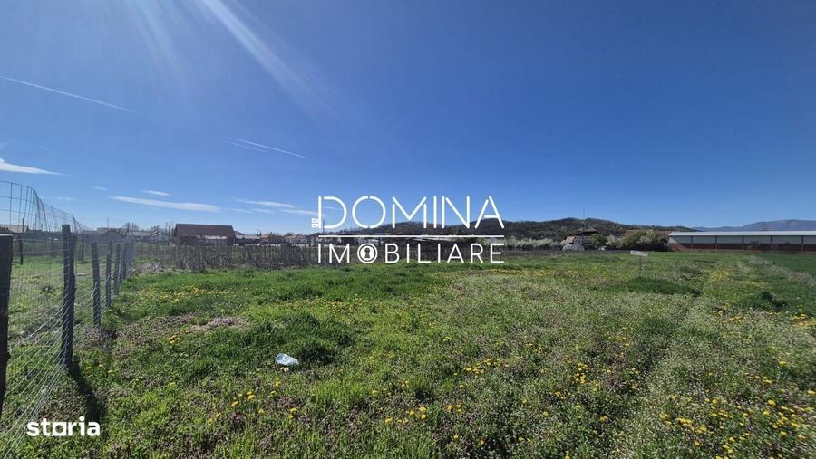 Spațiu comercial, în Tămășești