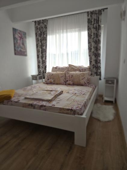 Apartament cu 2 camere decomandat în Viilor