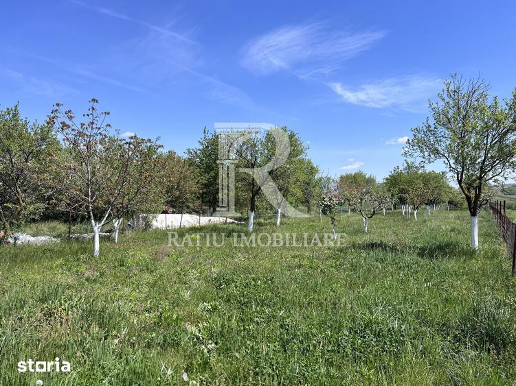 Casă cu 1 camere cu Teren 3000 Mp în Copăcel