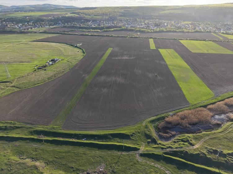 Teren Construcții extravilan de 11016.759765625 mp, în Hemeiuș